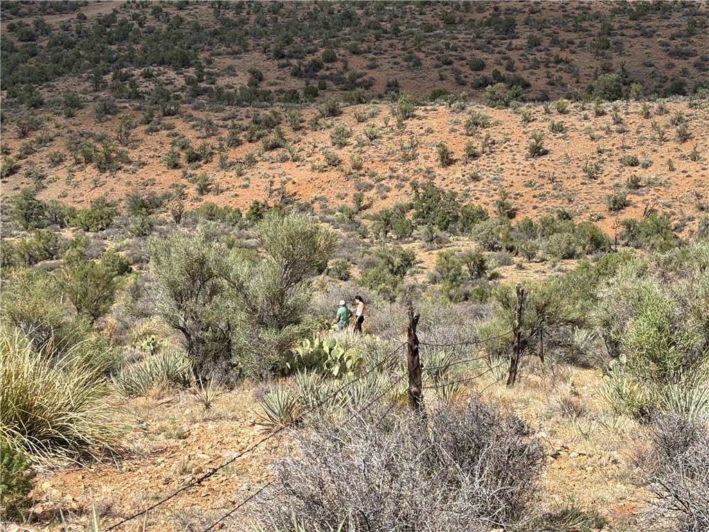 Picture 16