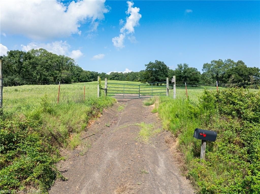 98.38 Acres of Country Land
