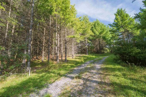 Lots/Land, Davis, WV