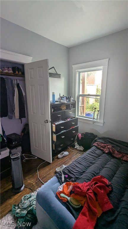 Picture 21