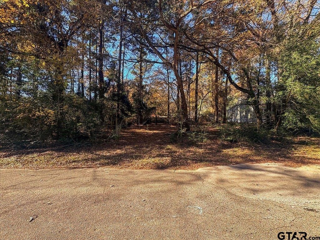 Picture 5