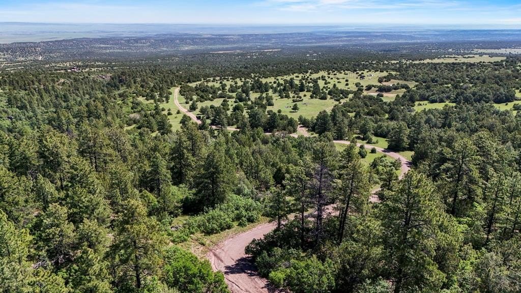 Secluded Land Bordering National Forest