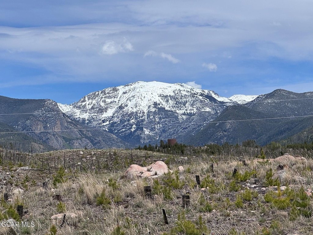 Picture 41