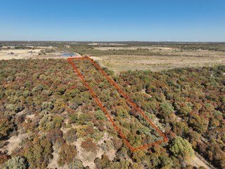Timbered Hunting Land Tract