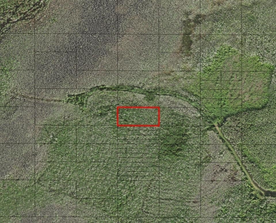Holopaw Groves Land For Sale