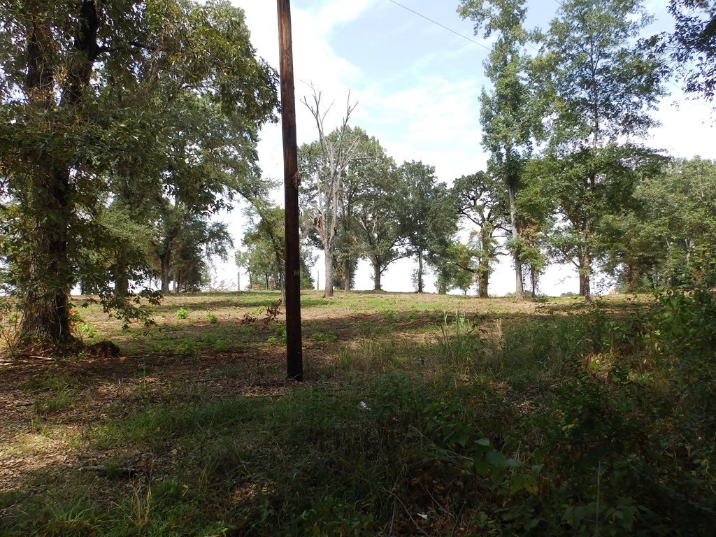 Picture 13