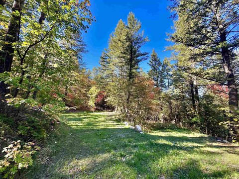Forested Recreational Land