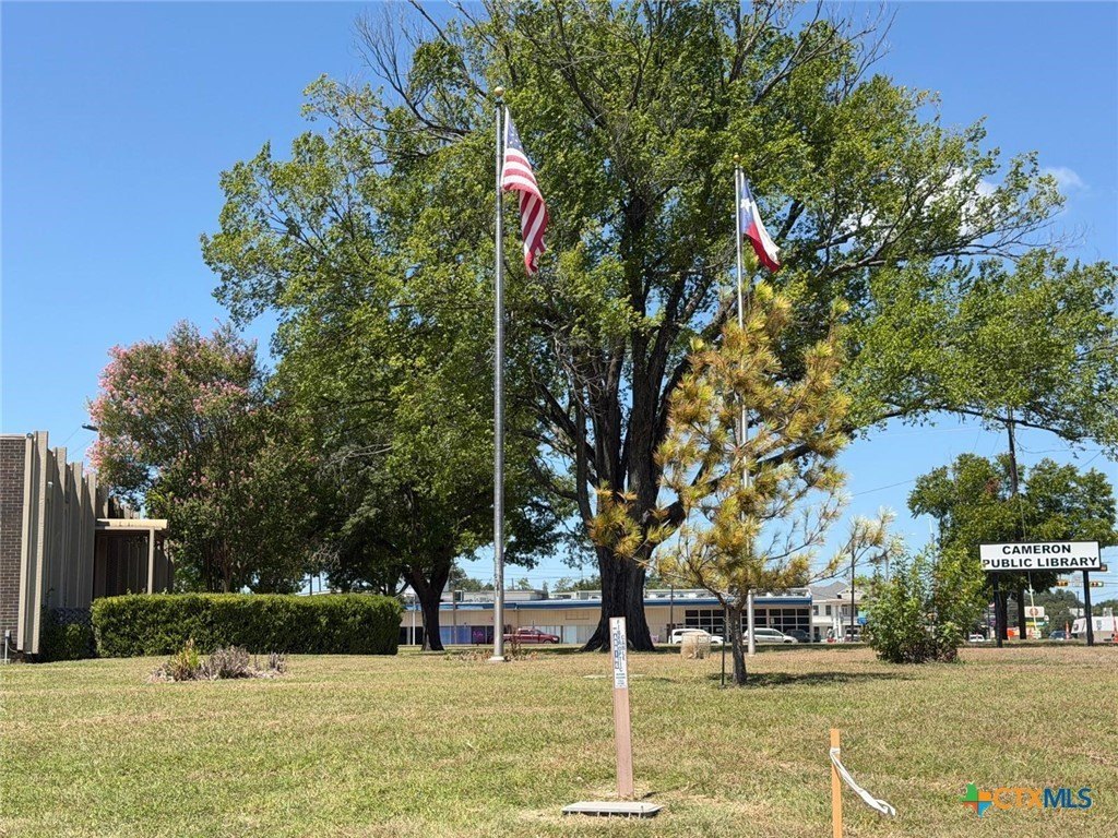 Picture 19