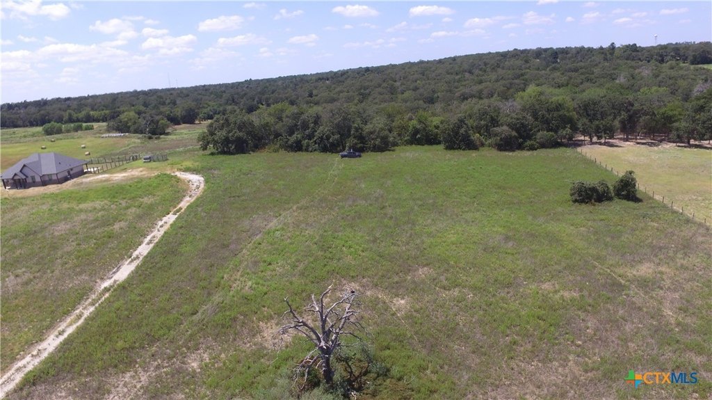 Picture 15