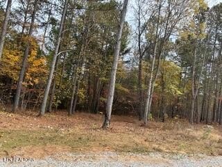 Residential Land in Madisonville, TN