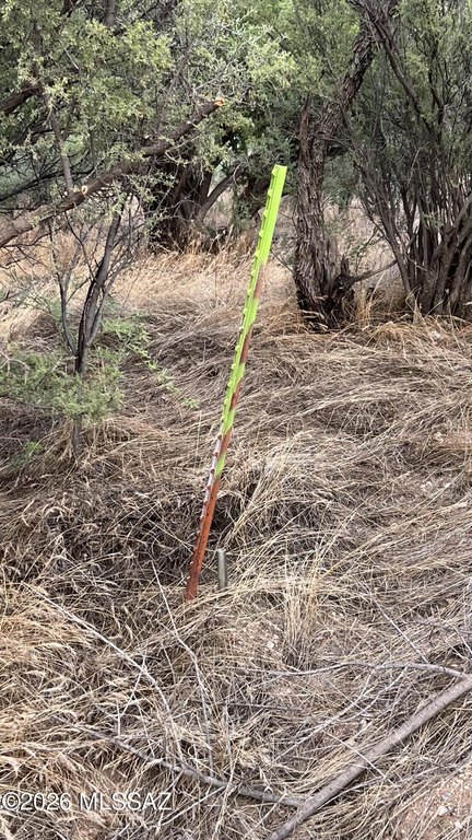 Picture 8