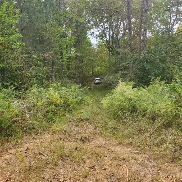 Picture 6