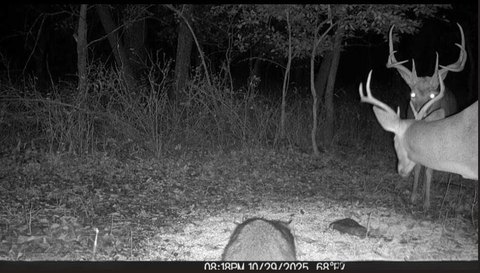 Turnkey Hunting Tract in LaHarpe