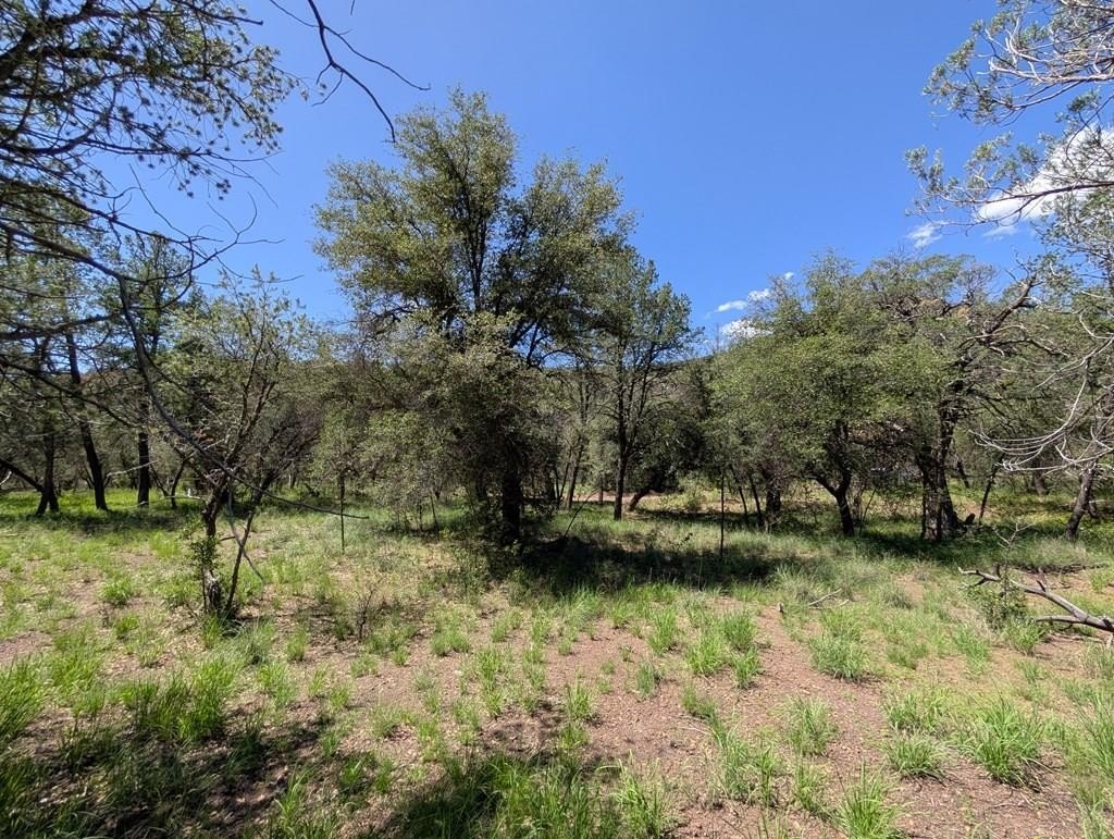 Fort Davis Land with Views