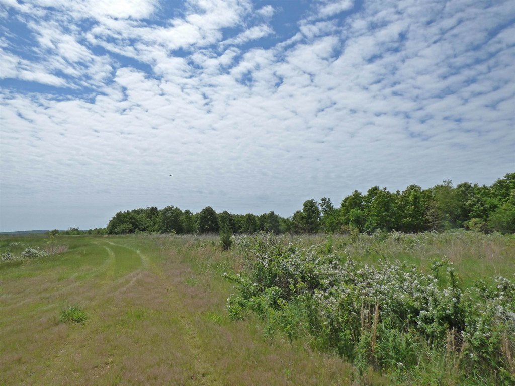 Picture 4