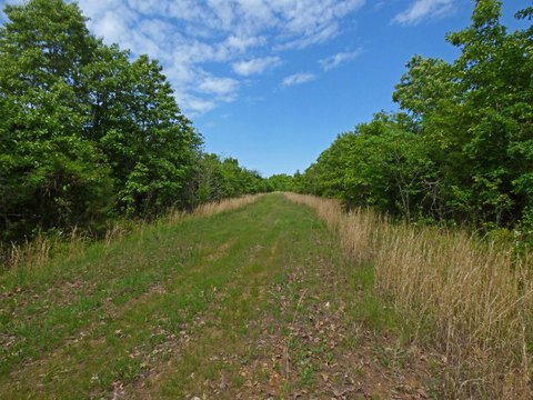 LAND - Ash Flat, AR