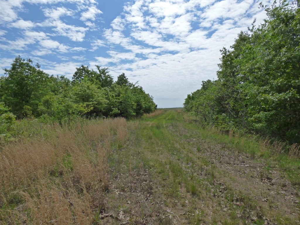 Picture 2