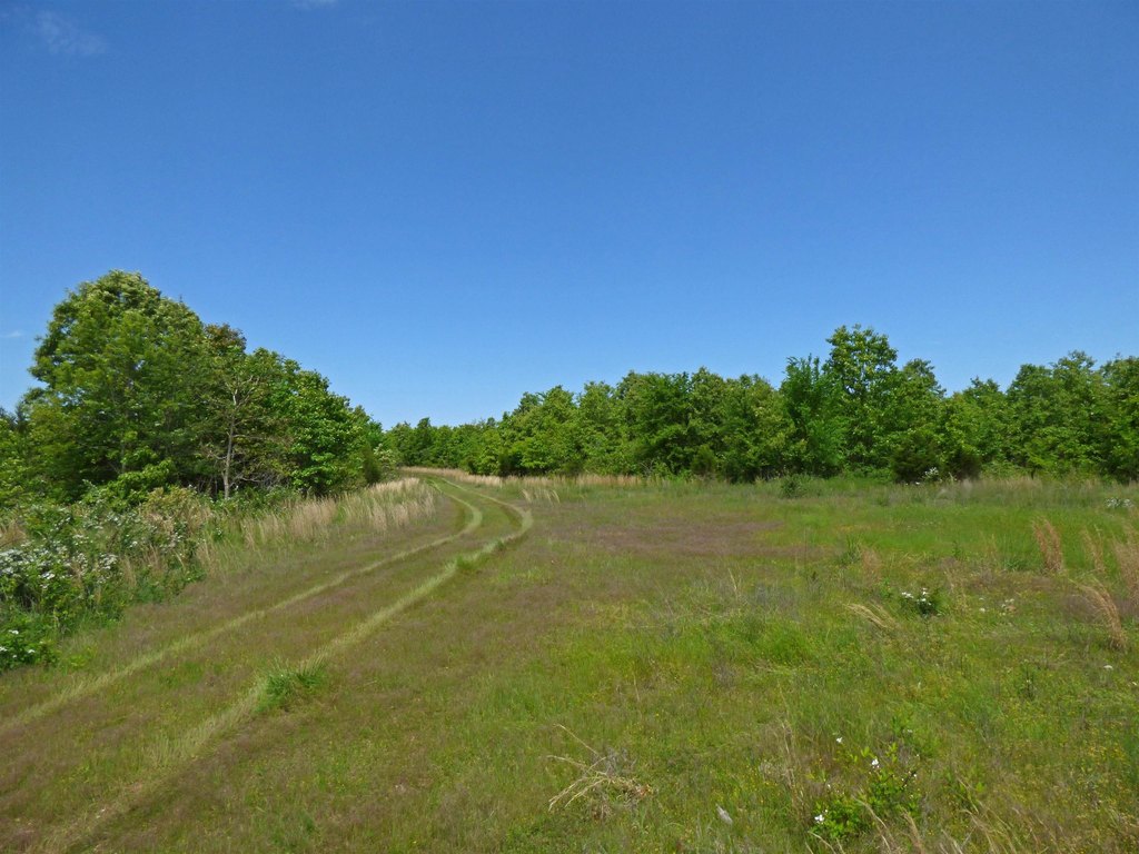 Picture 9