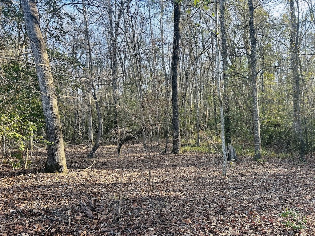 Picture 31
