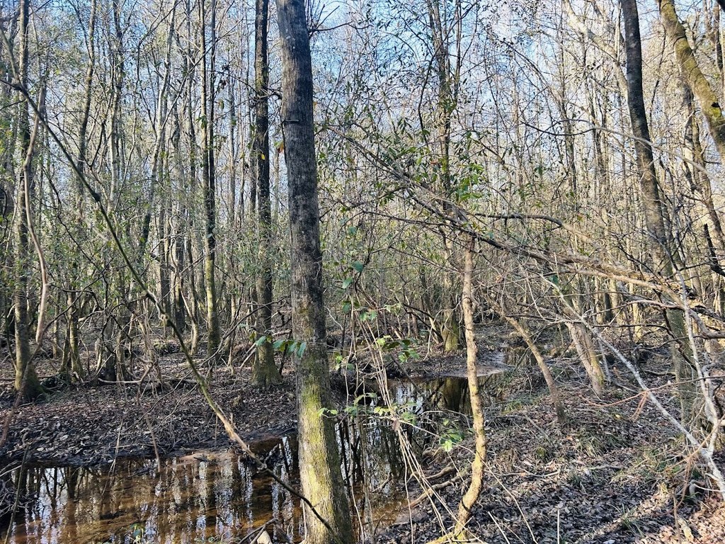 Picture 41