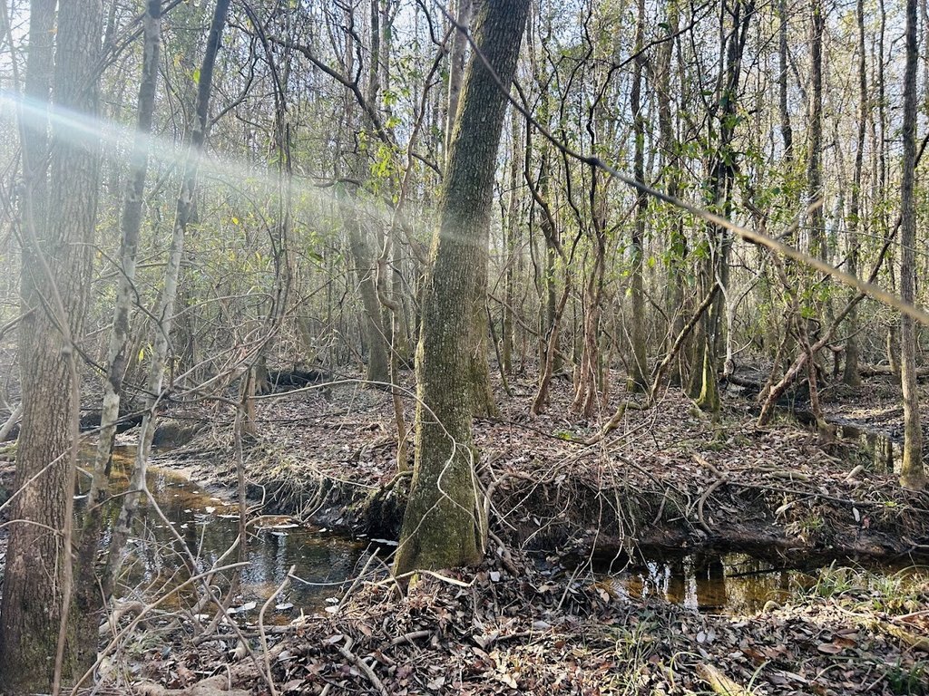 Picture 42