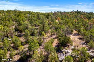 Vacant Land in Overgaard, AZ