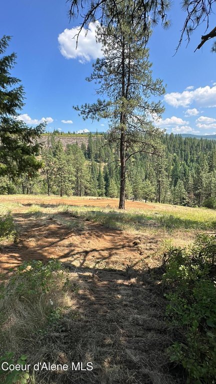 Picture 3