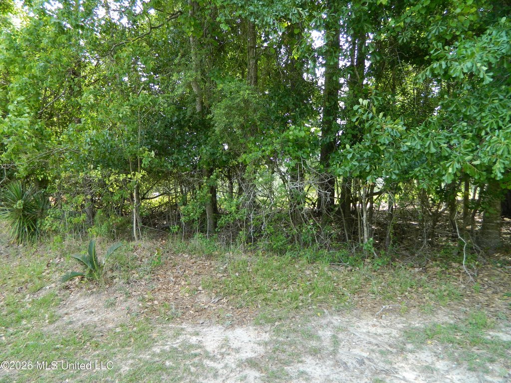 Picture 9