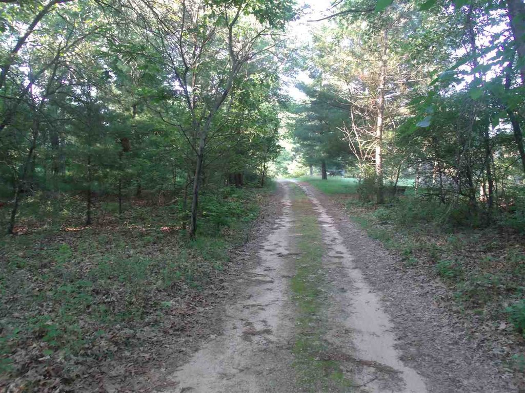 Picture 4