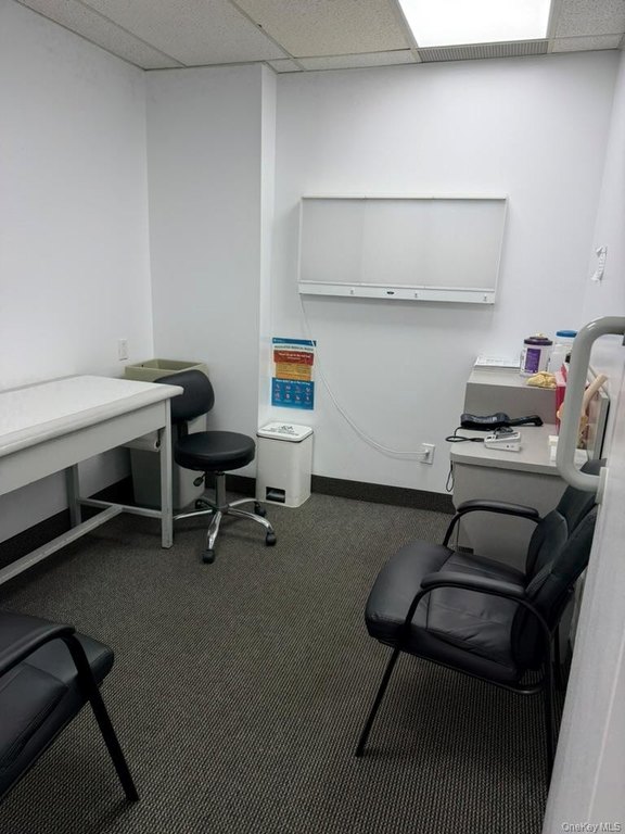 Picture 12