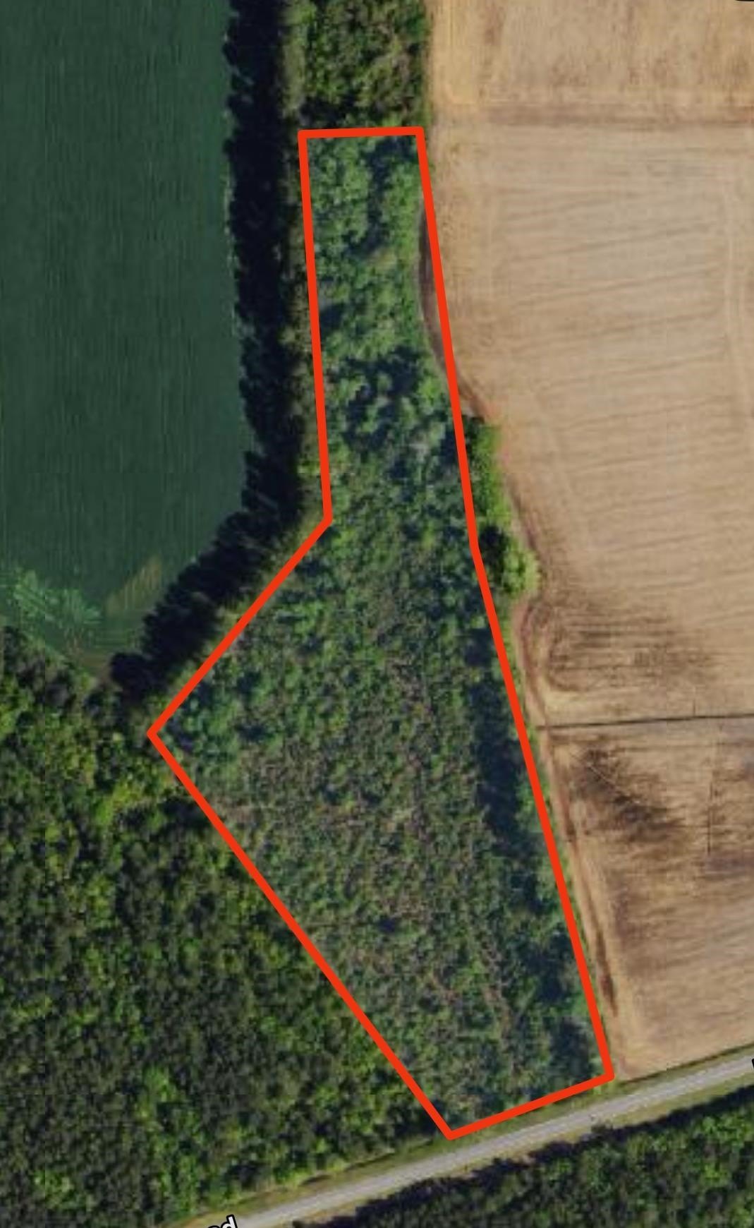 8.84 Acres in Nichols, SC