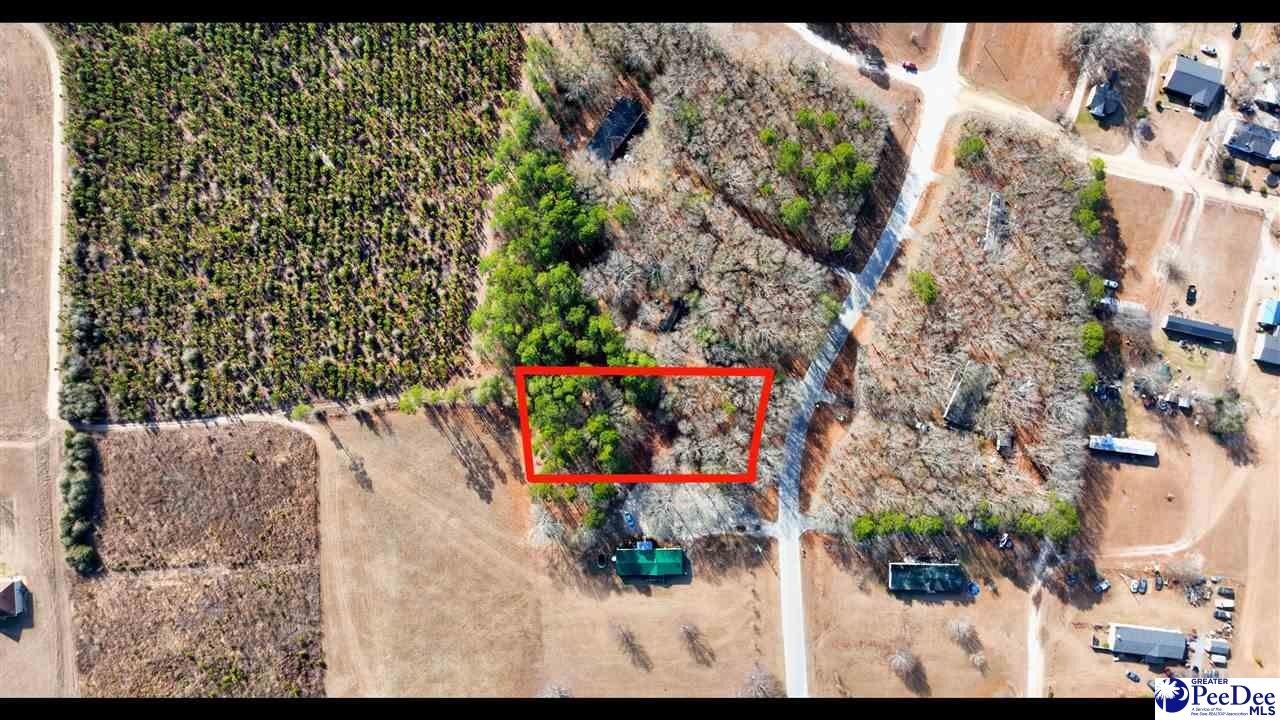 Darlington Wooded Residential Lot
