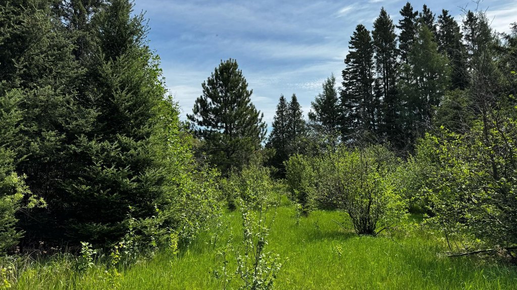 Picture 8