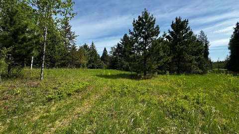 LAND - Virginia, MN