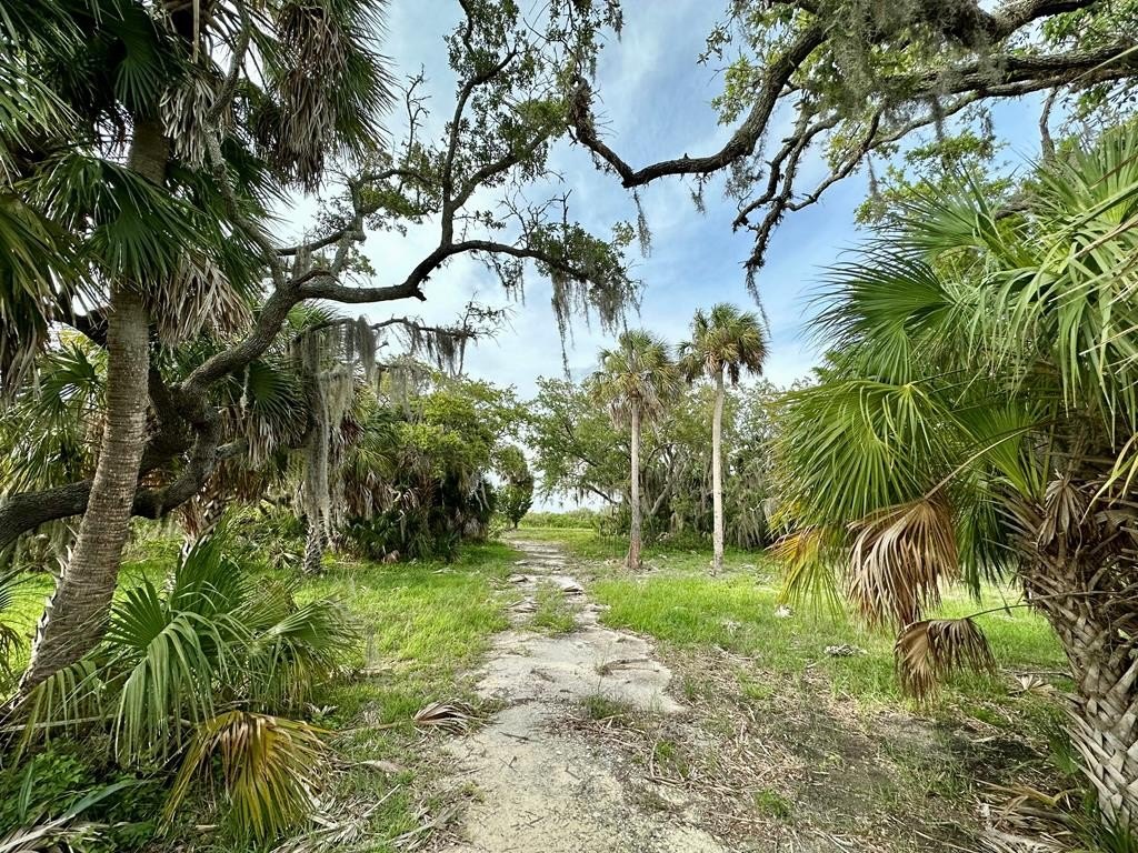 Picture 8