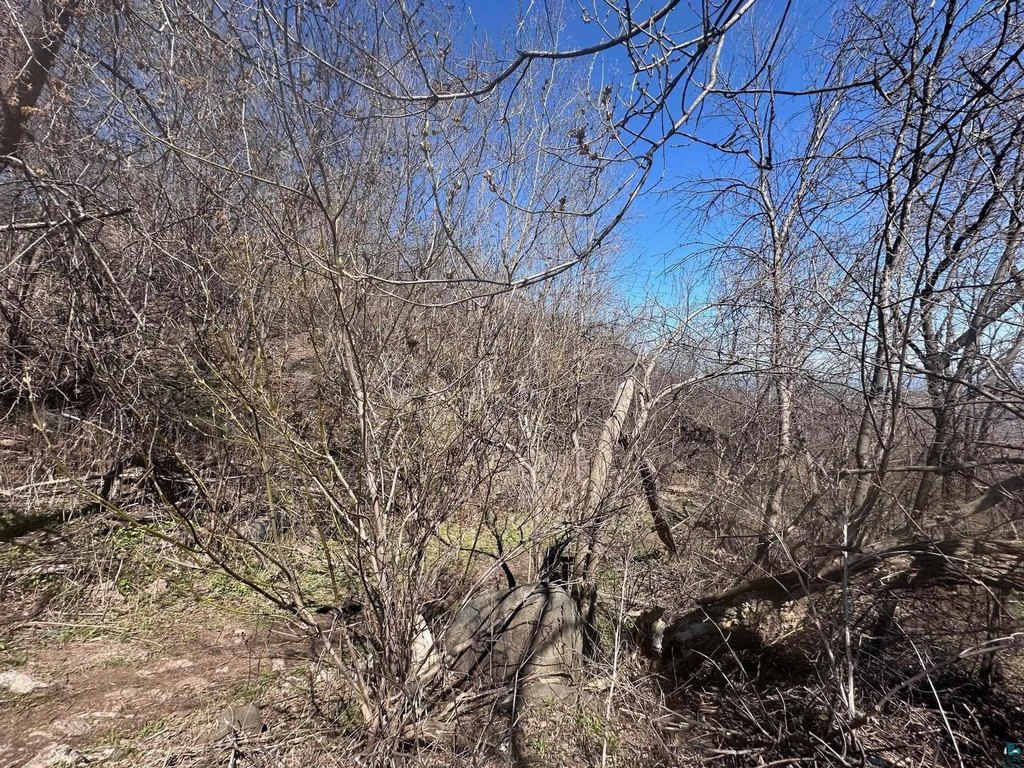 Picture 3