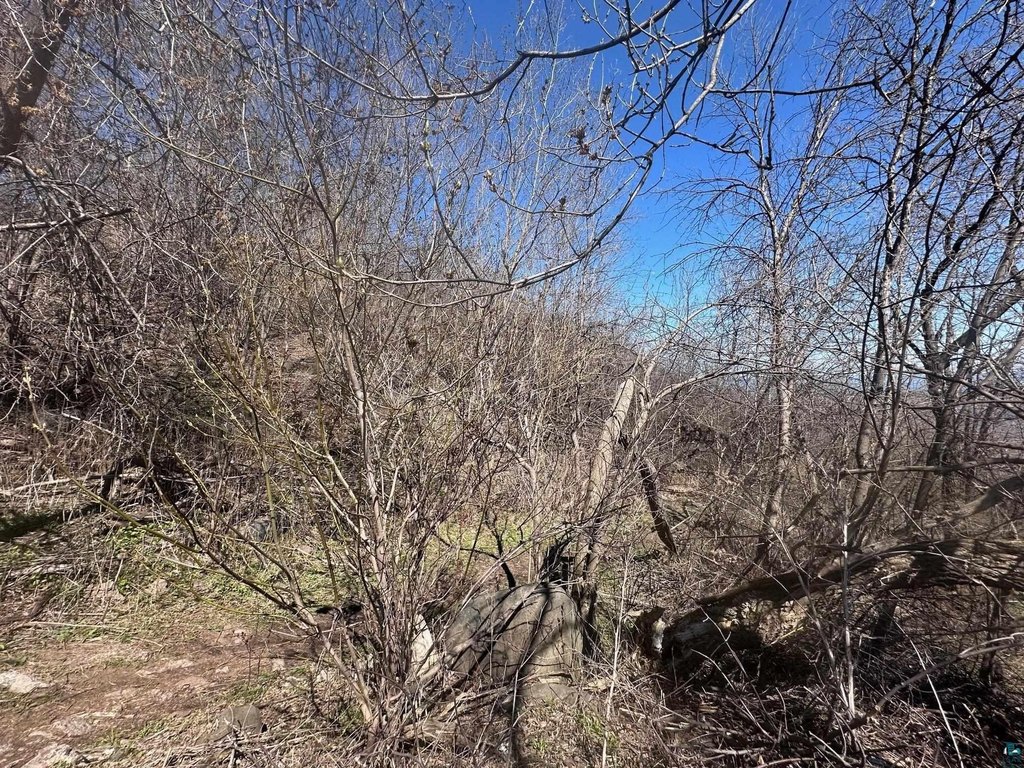 Picture 7