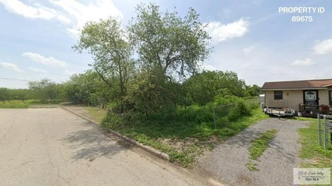 Land, LOS INDIOS, TX
