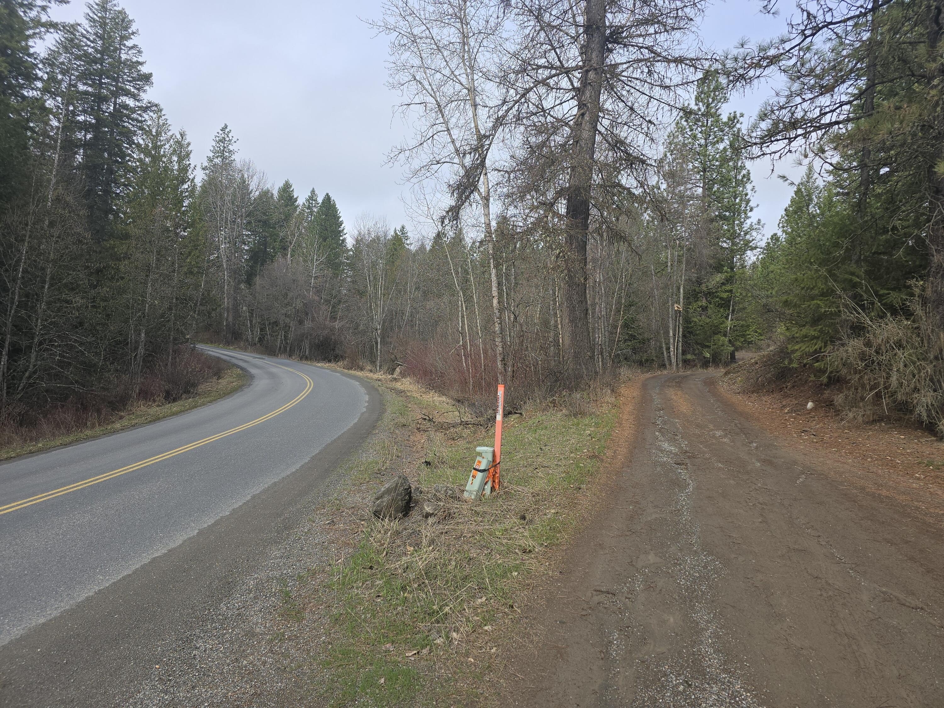 37 Acres Timbered Land Parcel