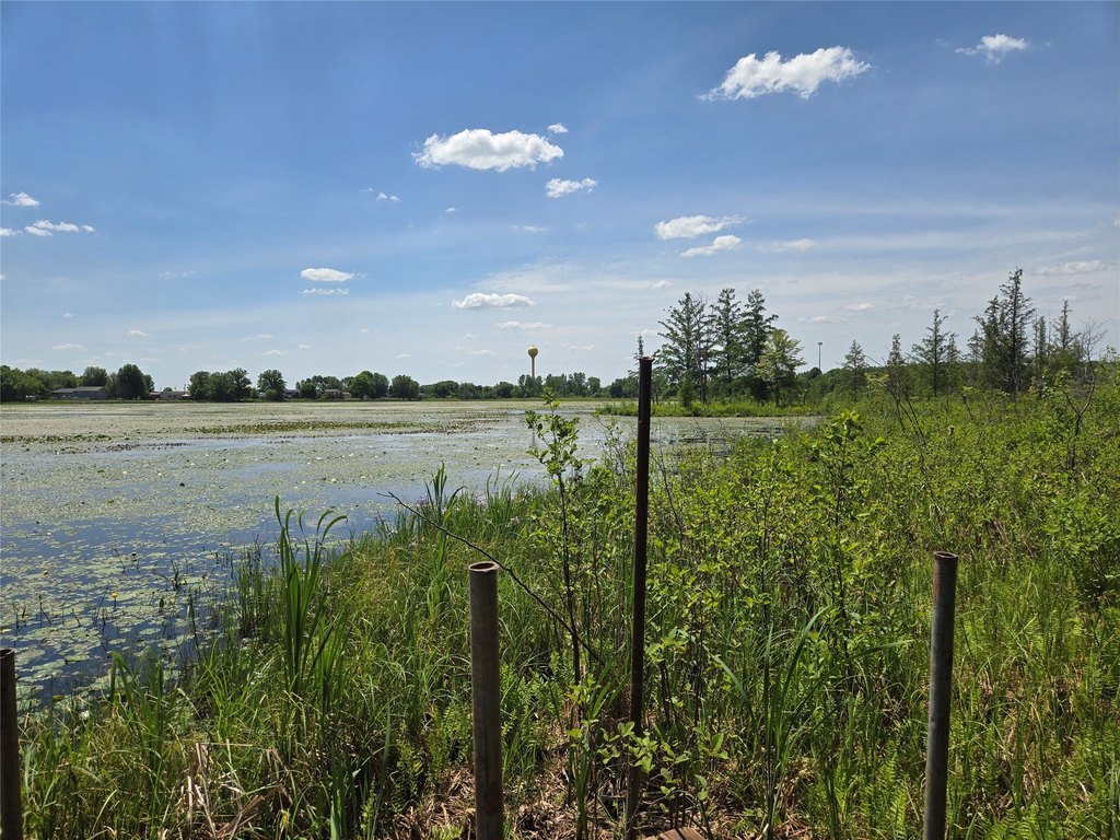 Picture 11