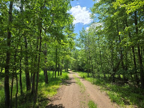 Wooded Land Overlooking Camelia Lake
