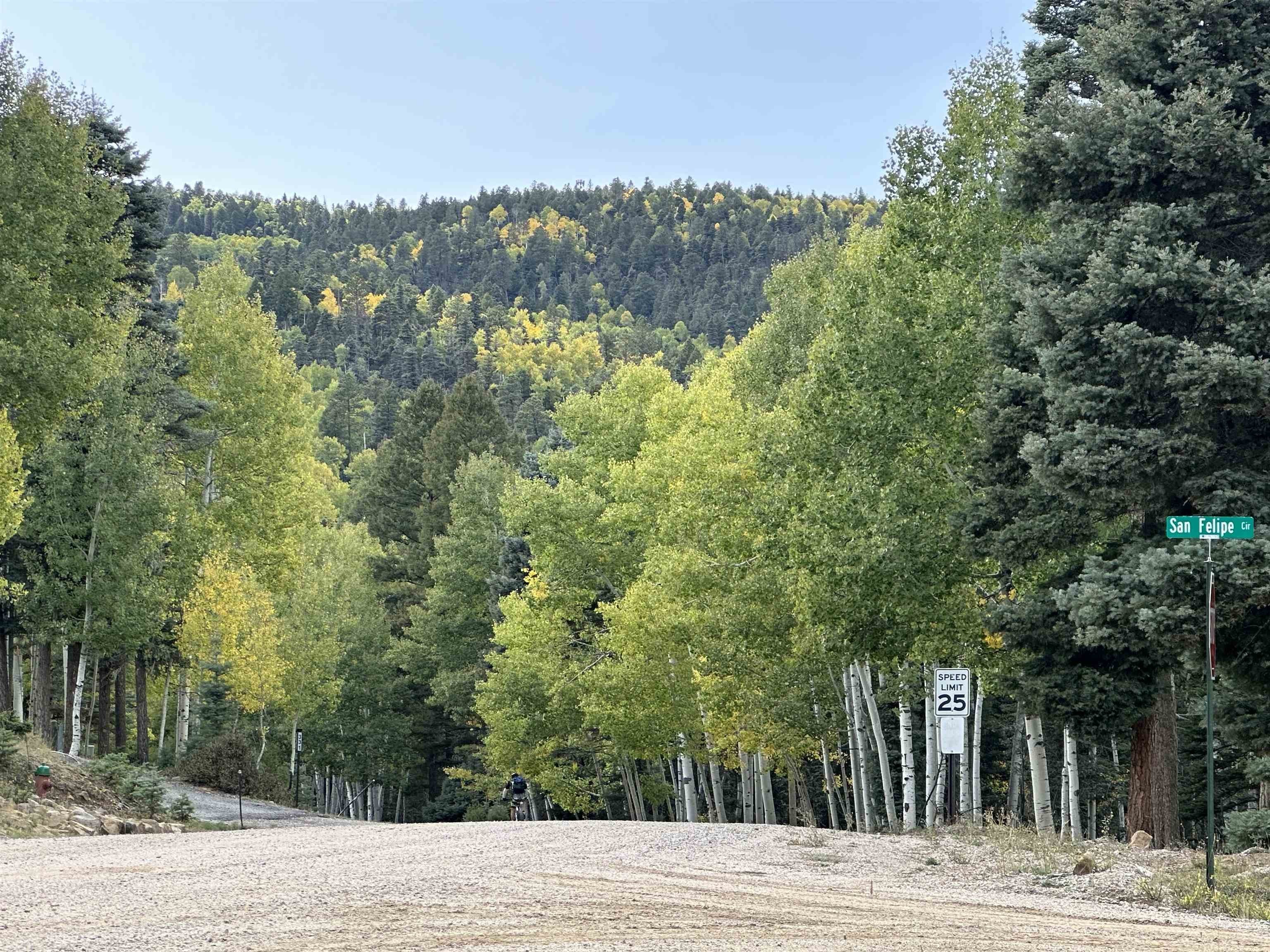 Angel Fire Corner Lot