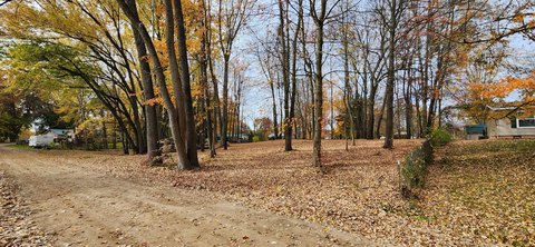 Land, White Cloud, MI