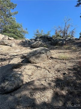 Arrowbear Land in National Forest