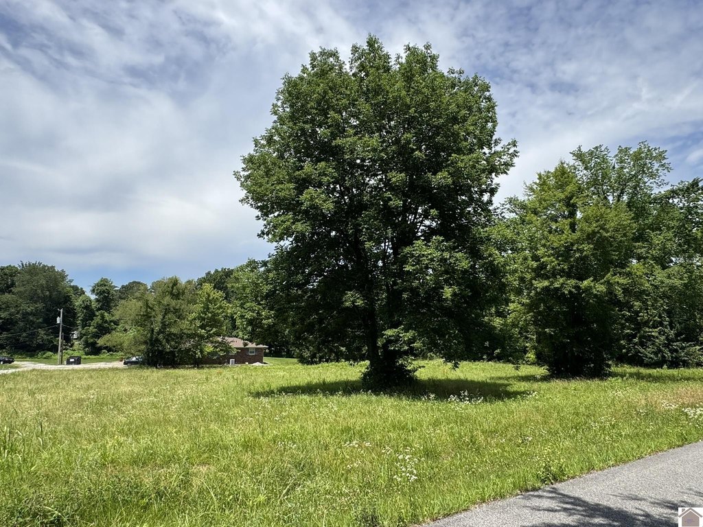 Picture 18