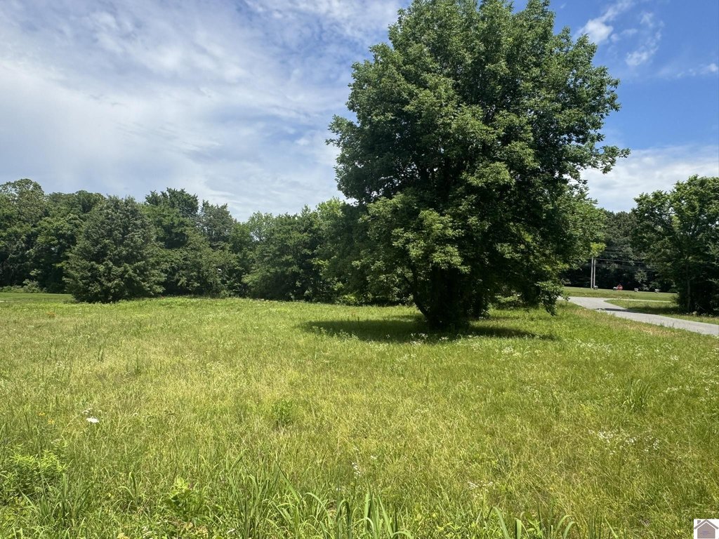 Picture 14