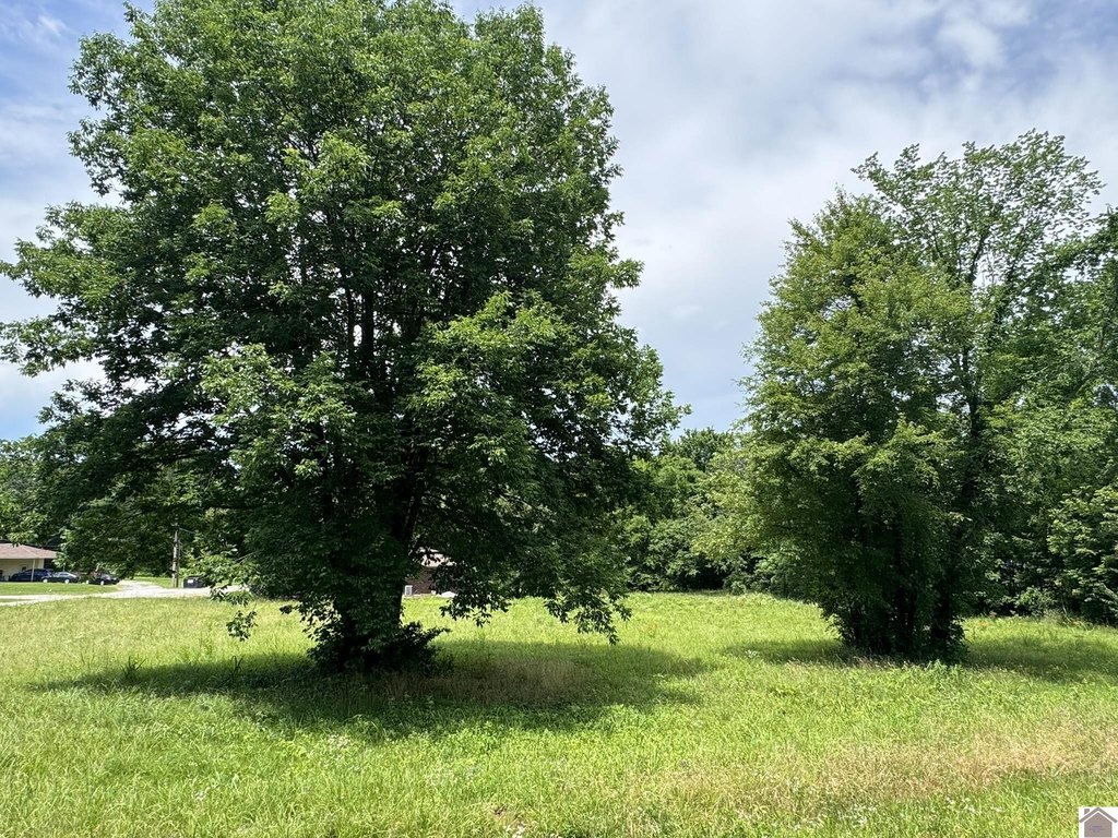 Picture 19
