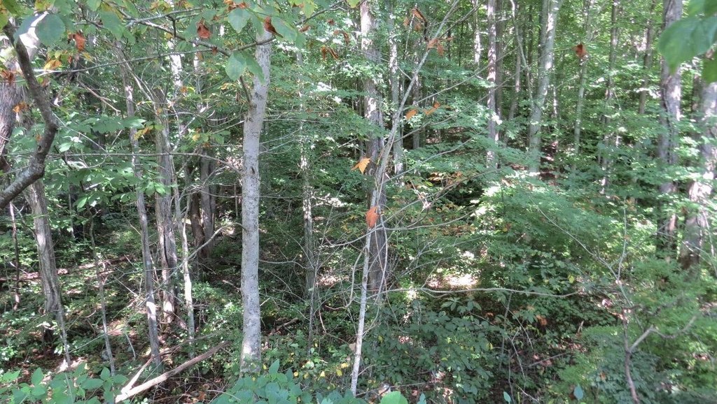 Picture 7