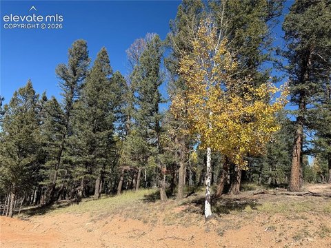 Land, Florissant, CO