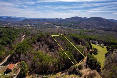 Tellico Plains Land for Dream Home